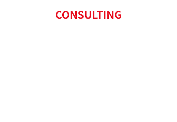 ドメイン5